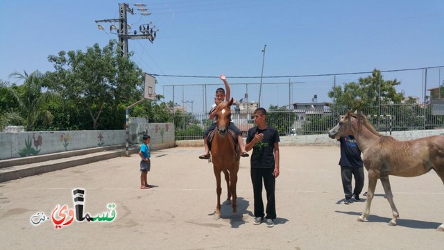 كفرقاسم - فيديو  : تعليم هواية ركوب الخيل في مدرسة جنة ابن رشد في اليوم الرابع لصيف الصادقة 